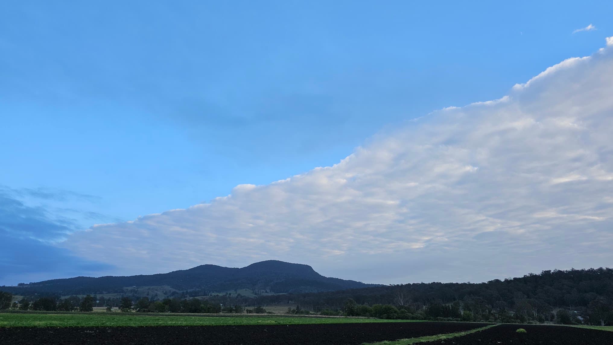 人在澳洲，心在日本：澳打四個月畢業